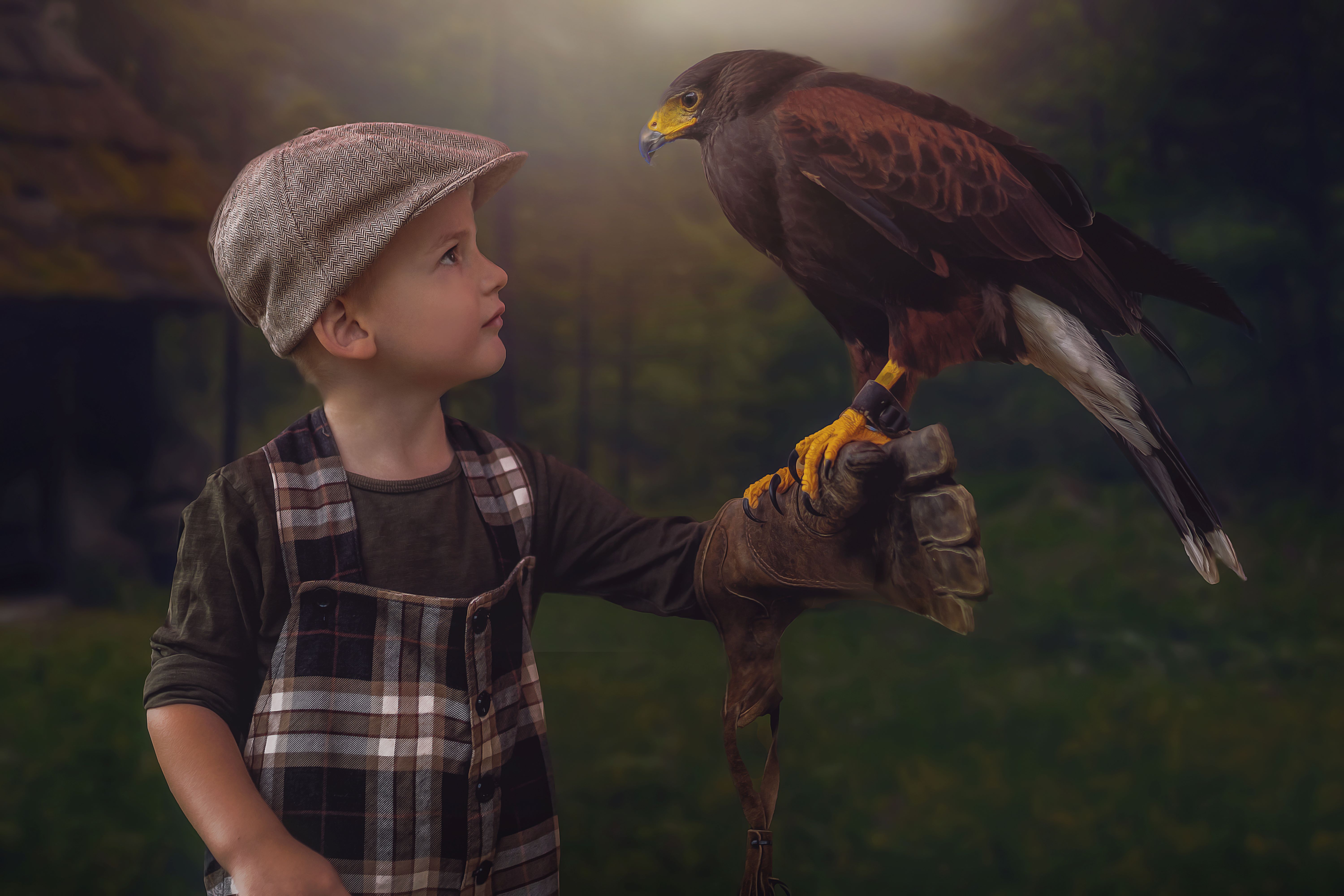 Fotenie s dravcami a koňmi fotenie Žilina